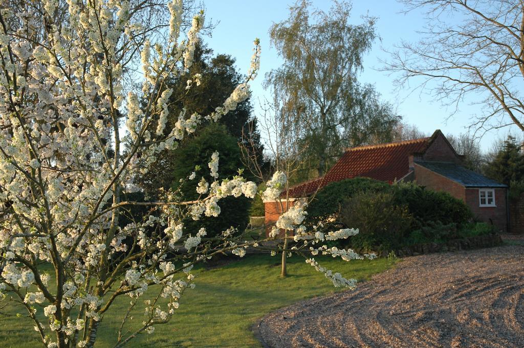 Field Cottage Bed And Continental Breakfast East Harling Zimmer foto